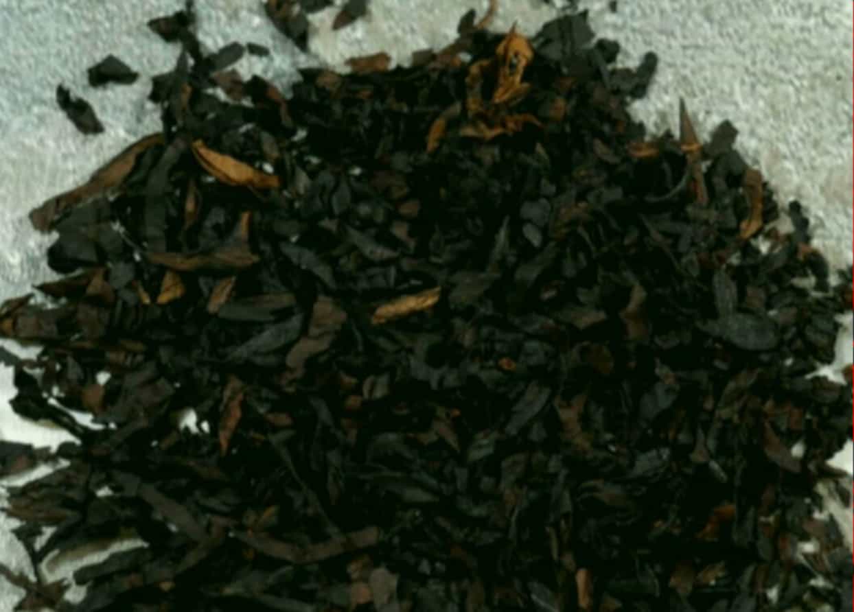Smoke-cured Latakia tobacco ready for blending